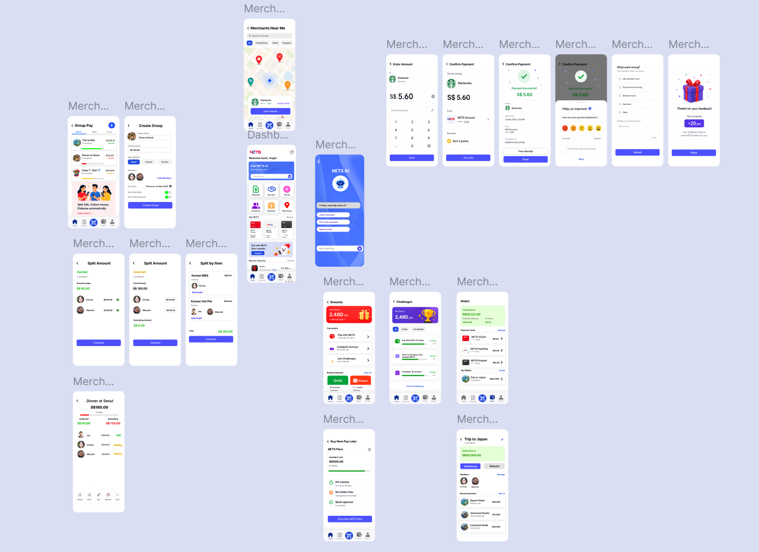 PolyFintechAPI100: NETS screenshot 3